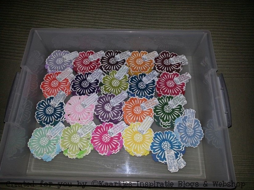 1255167_523895804372165_871908959_n