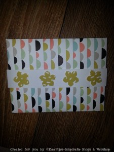 11082524_775069395942439_1055842206528621770_n